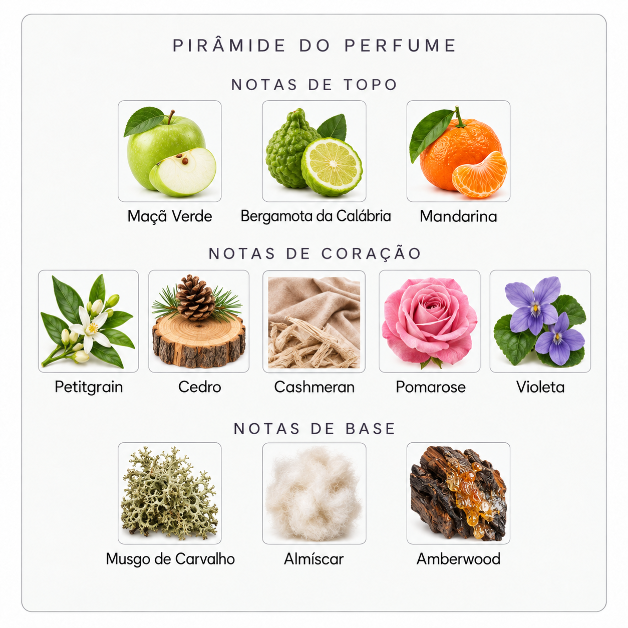 Pirâmide olfativa Parfums de Marly Greenley