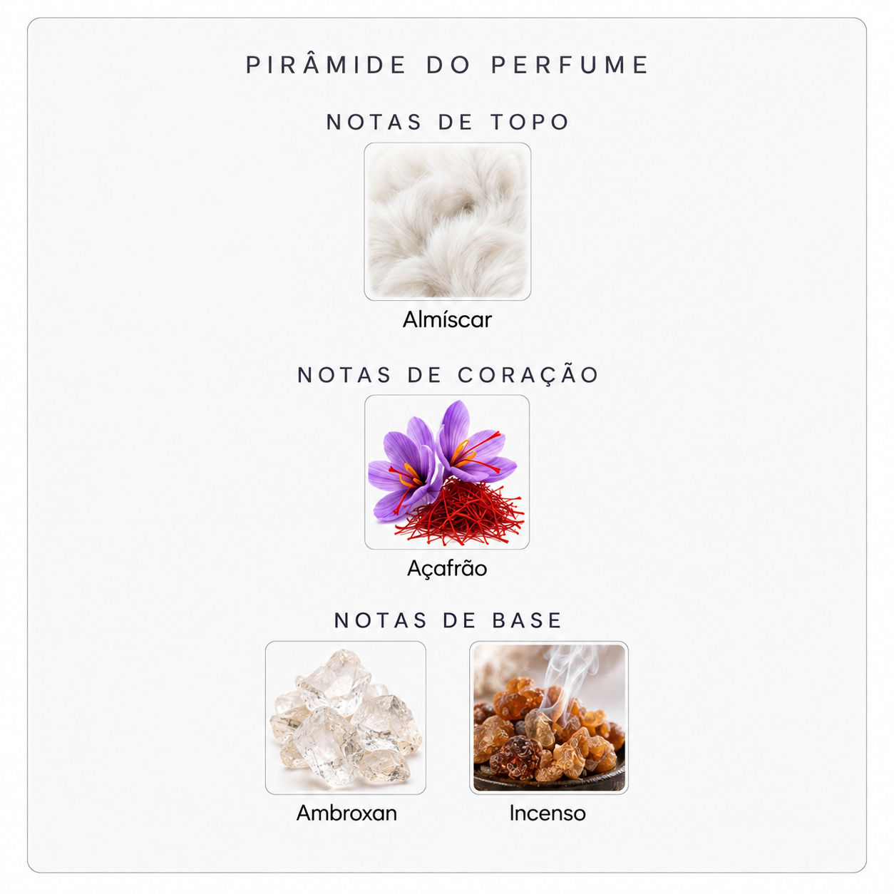 Pirâmide olfativa do Crystal Saffron