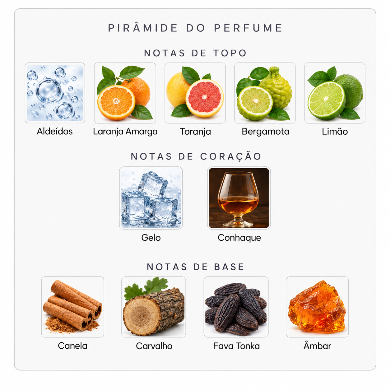 Pirâmide olfativa do Initio Can't Get Enough