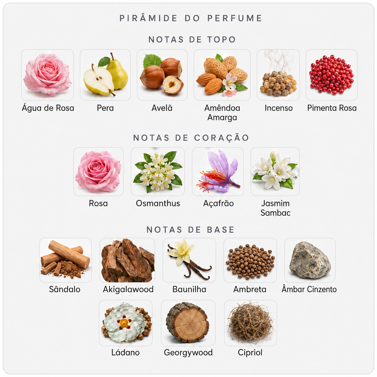 Pirâmide olfativa Amouage Guidance