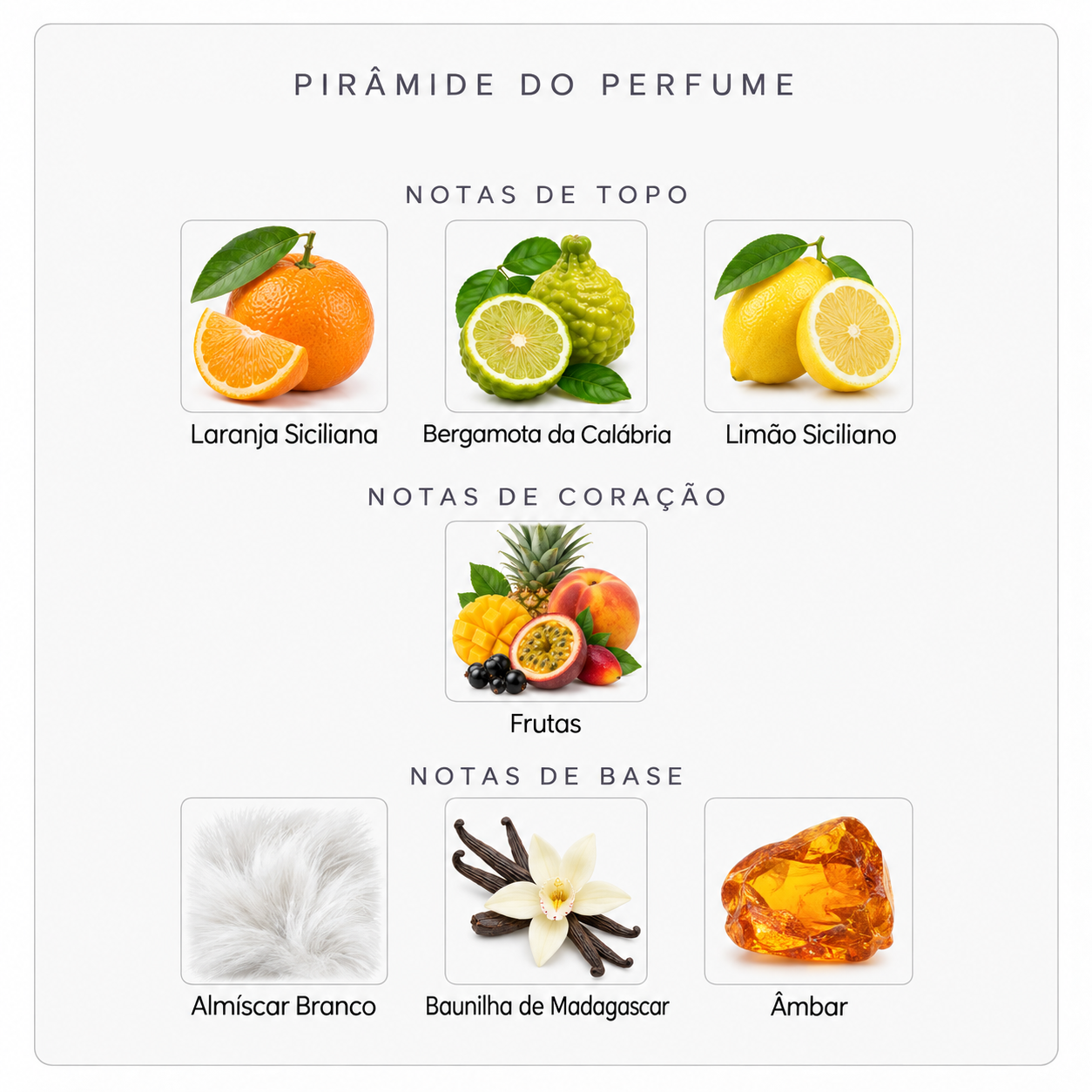 Pirâmide olfativa do Xerjoff Erba Pura
