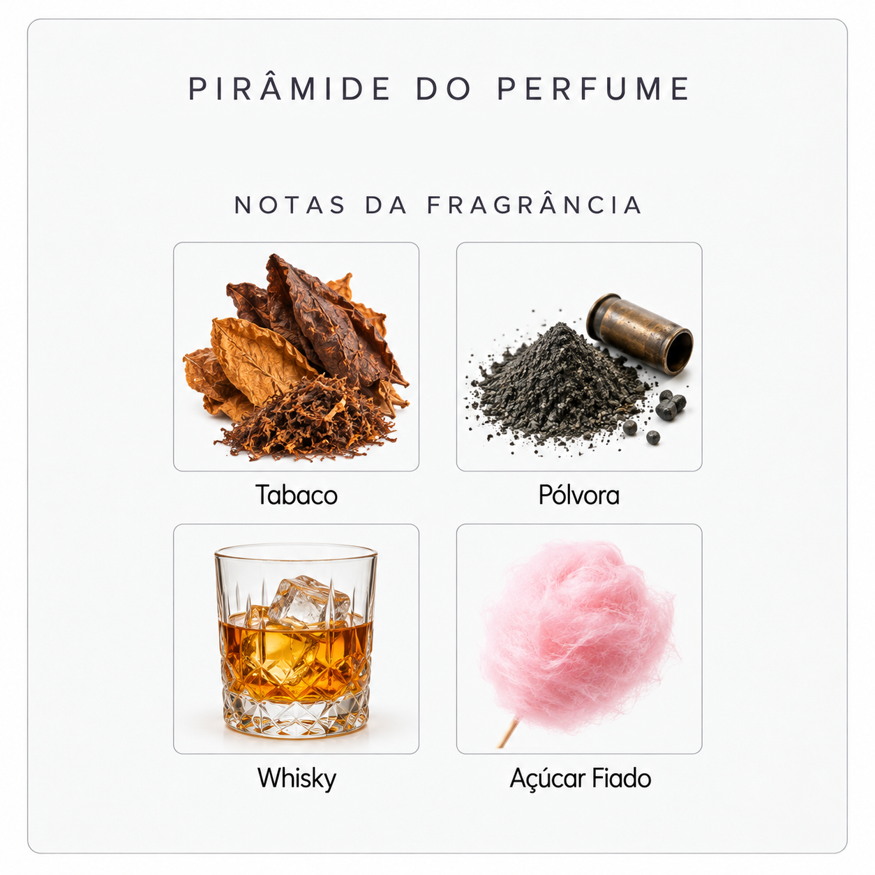 Pirâmide olfativa do Xerjoff Don
