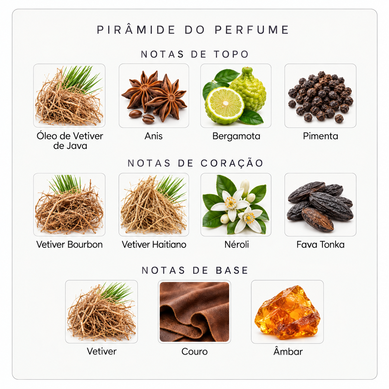 Pirâmide olfativa do Nishane Sultan Vetiver