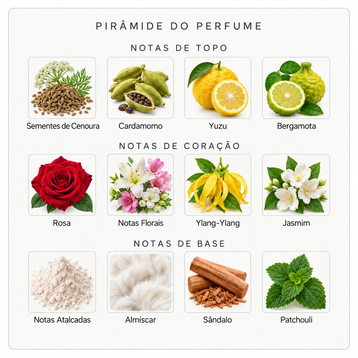 Pirâmide olfativa do Nishane Nanshe