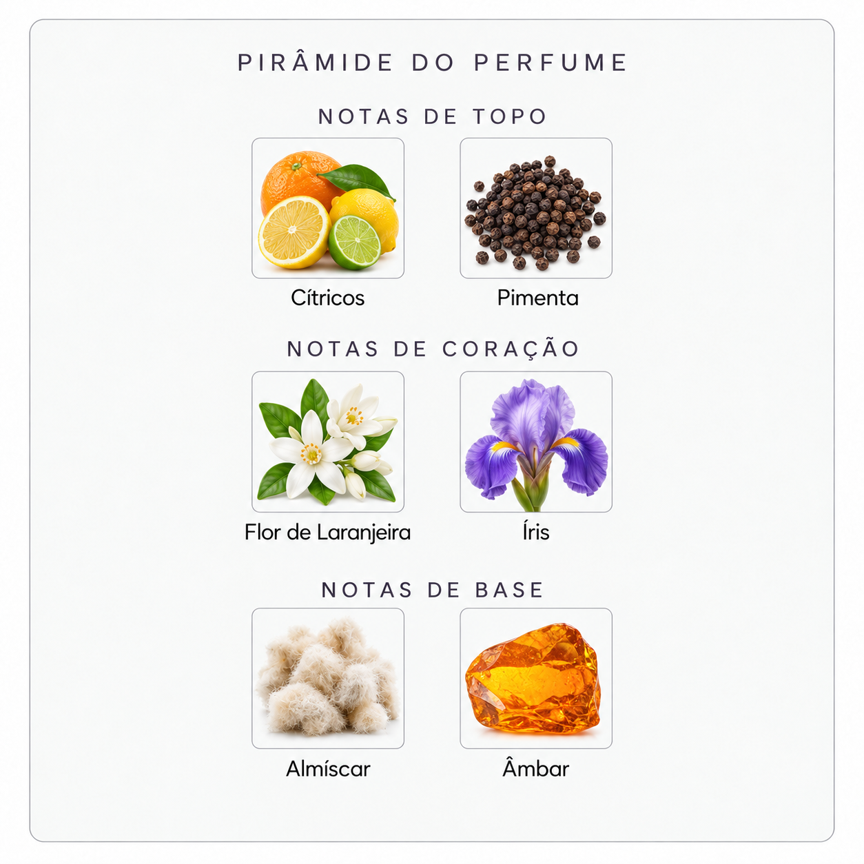 Pirâmide olfativa Parfums de Marly Galloway
