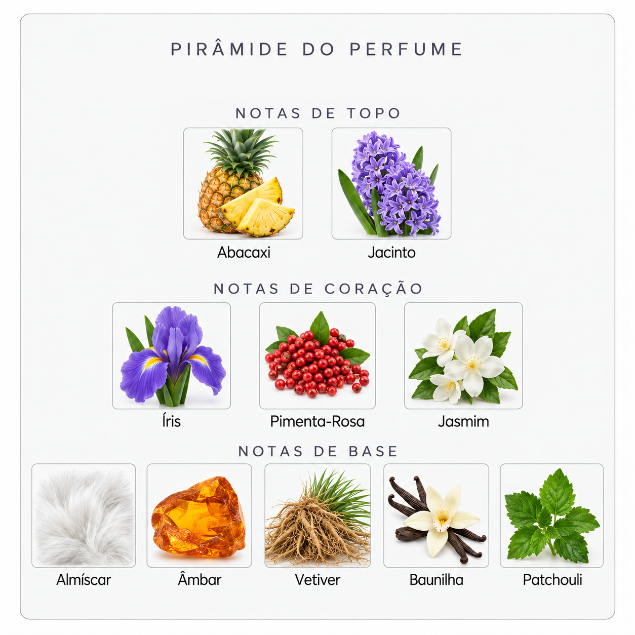 Pirâmide olfativa do Xerjoff Accento