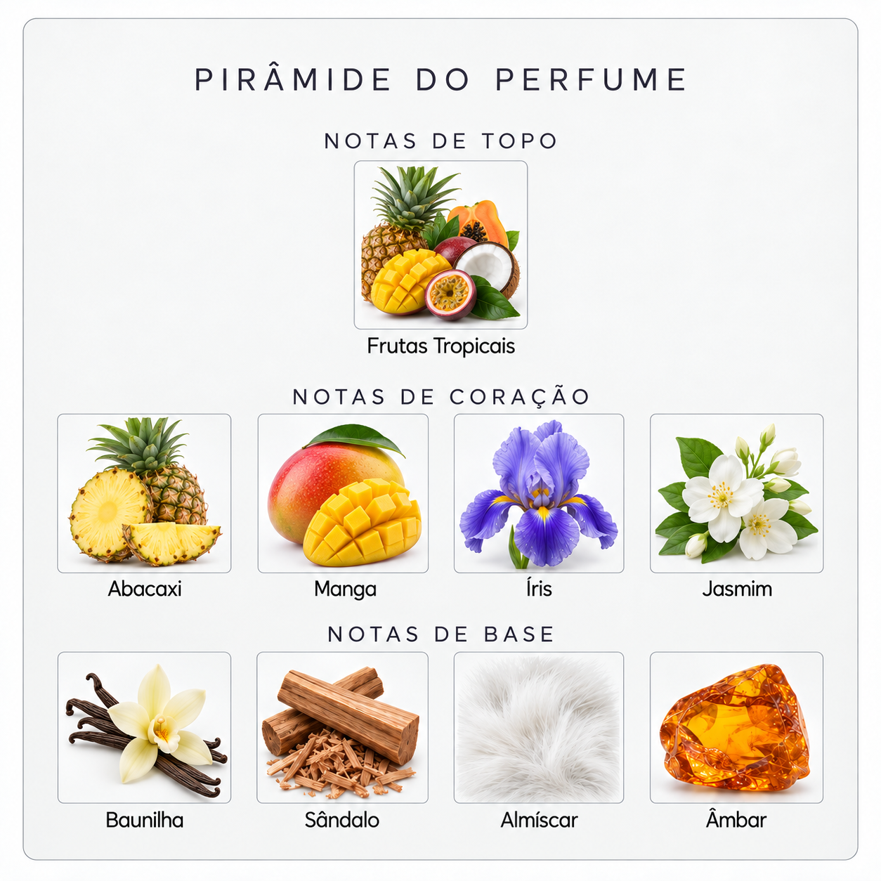 Pirâmide olfativa do Xerjoff Coro