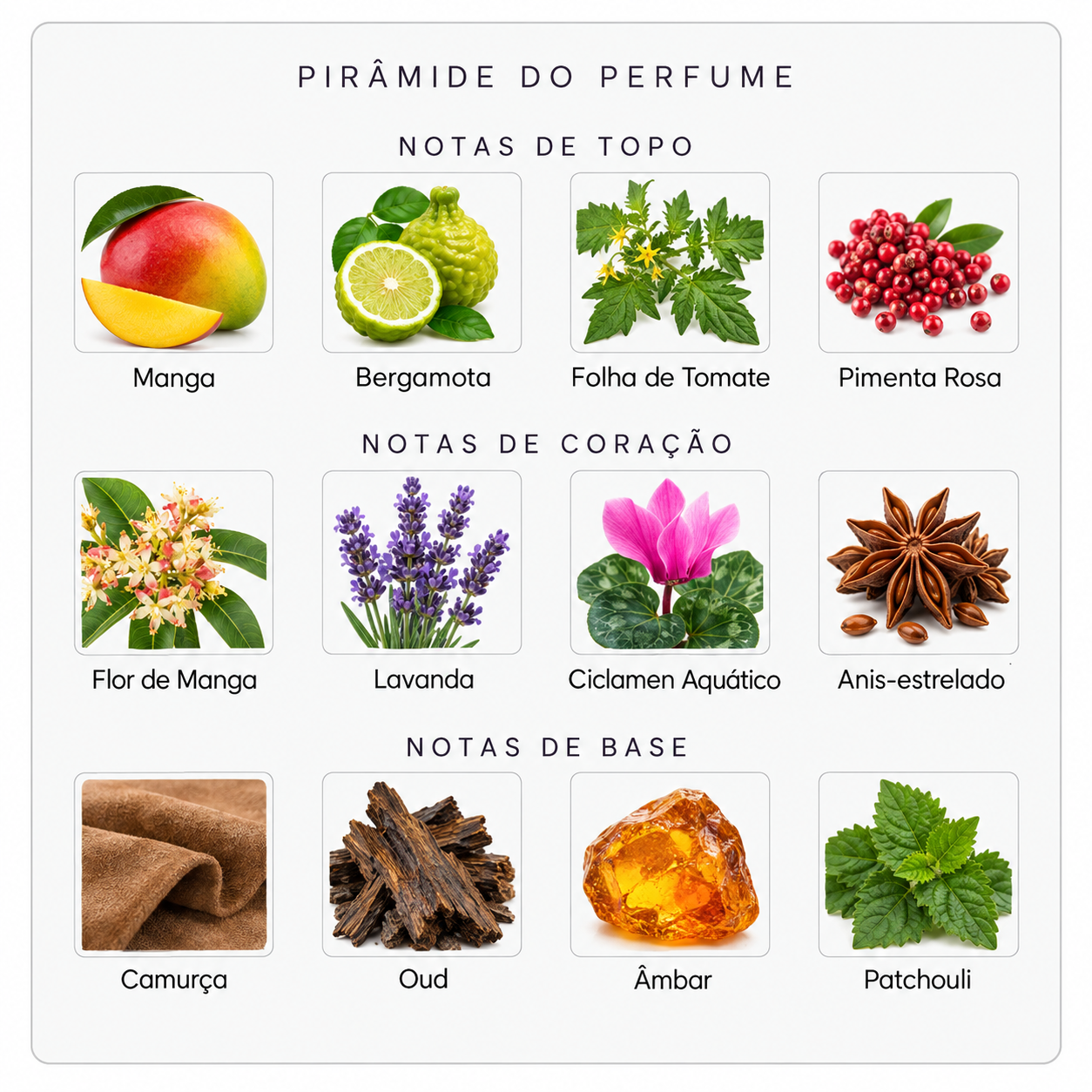 Pirâmide olfativa do perfume Mind Games Blockade