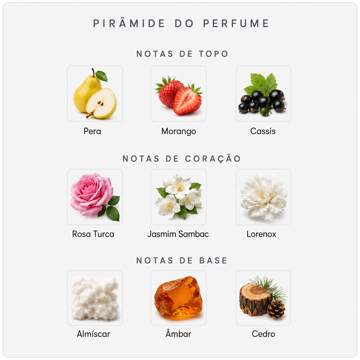 Pirâmide olfativa do BDK Bouquet de Hongrie