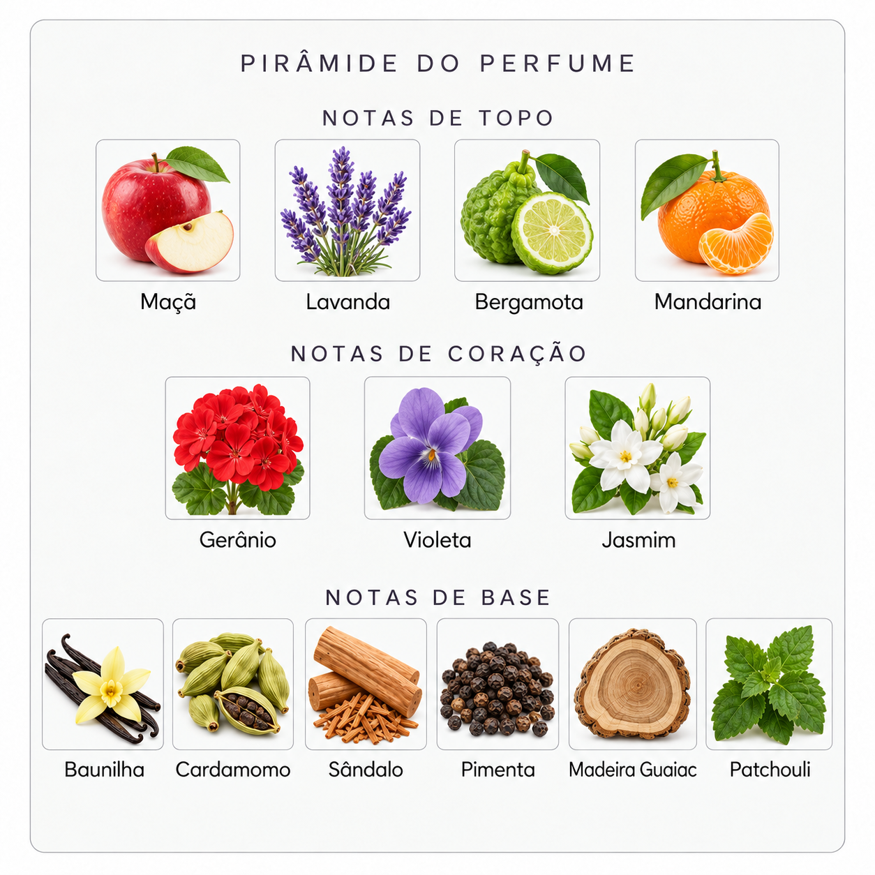 Pirâmide olfativa Parfums de Marly Layton