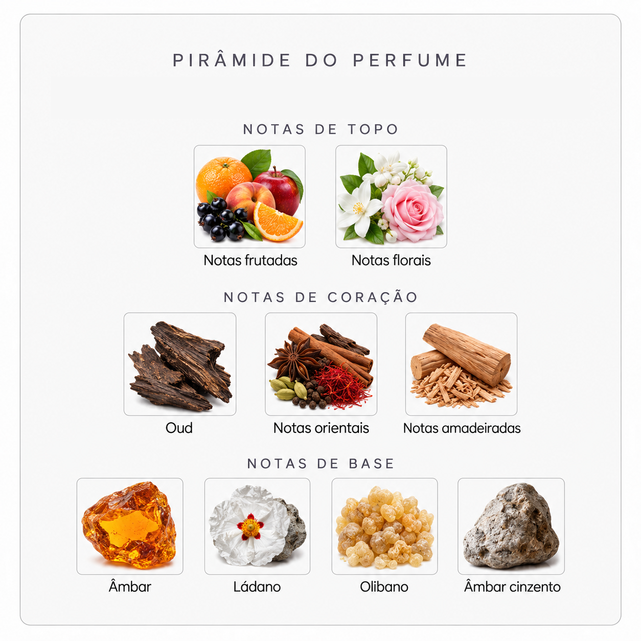 Pirâmide olfativa do Xerjoff More Than Words