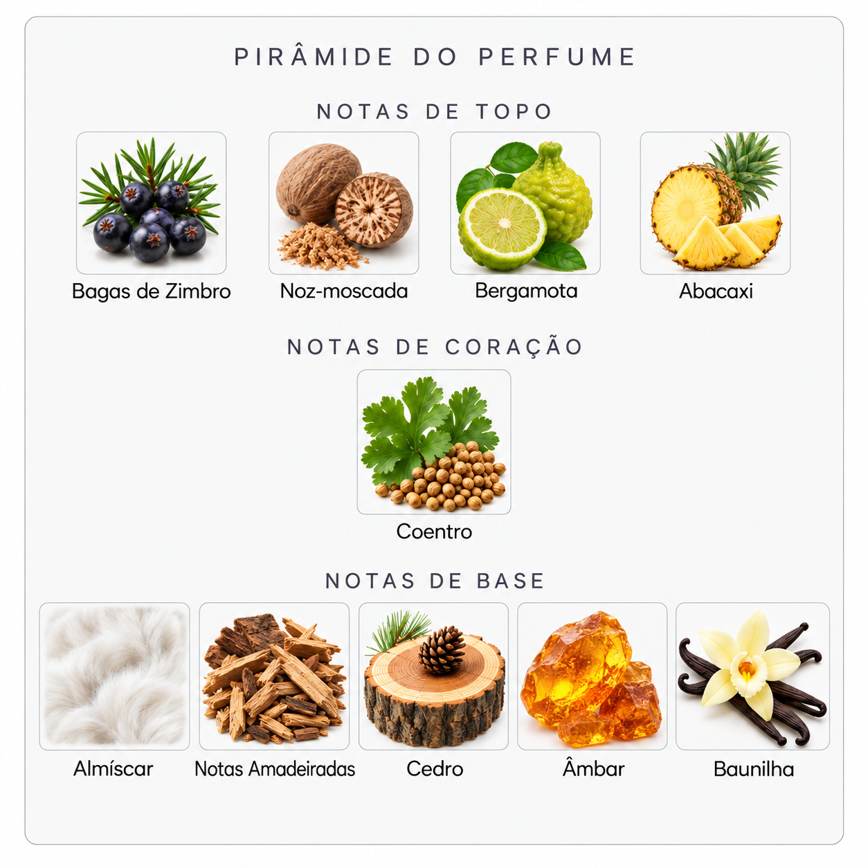 Pirâmide olfativa do Gentle Fluidity Silver
