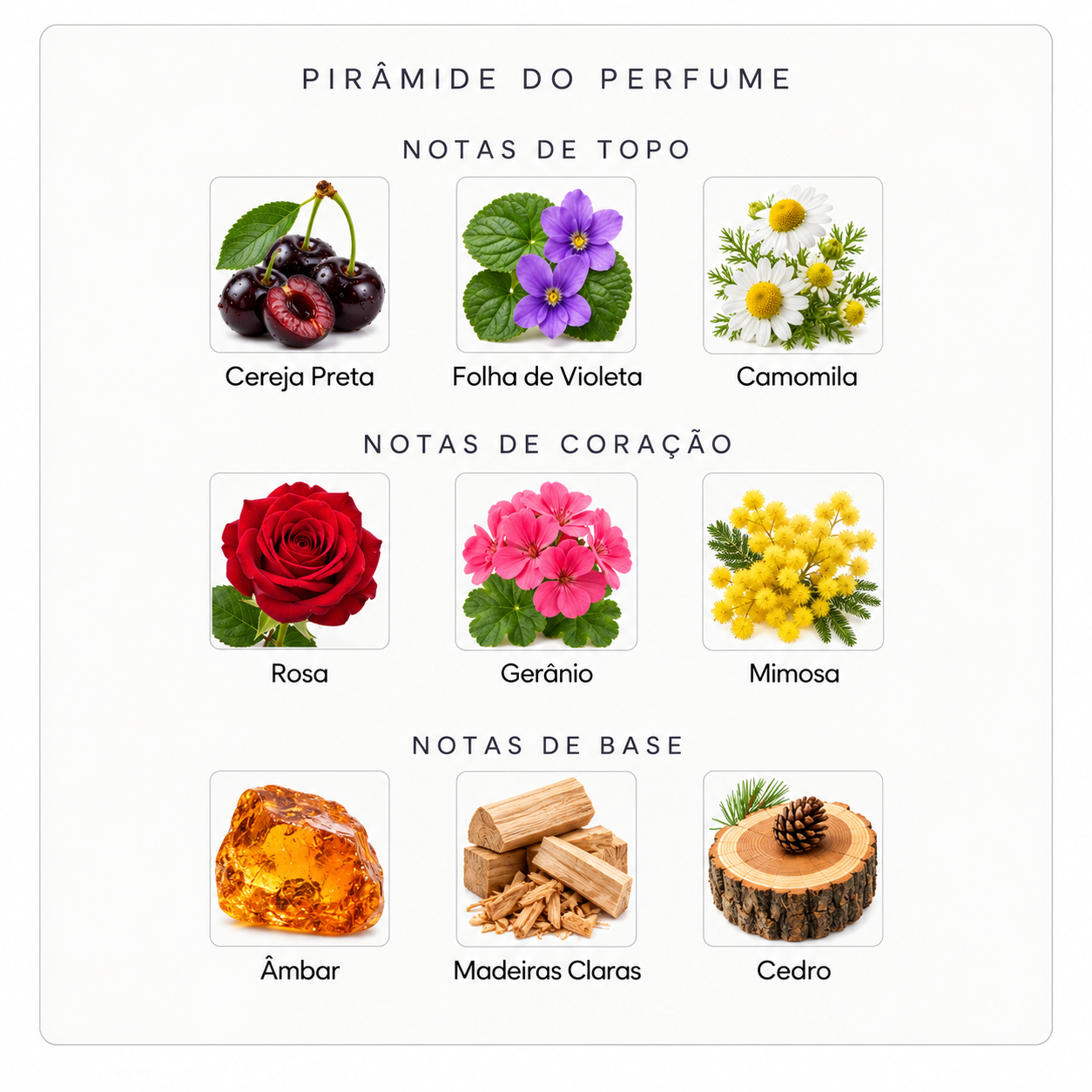 Pirâmide olfativa do perfume Mind Games French Defense