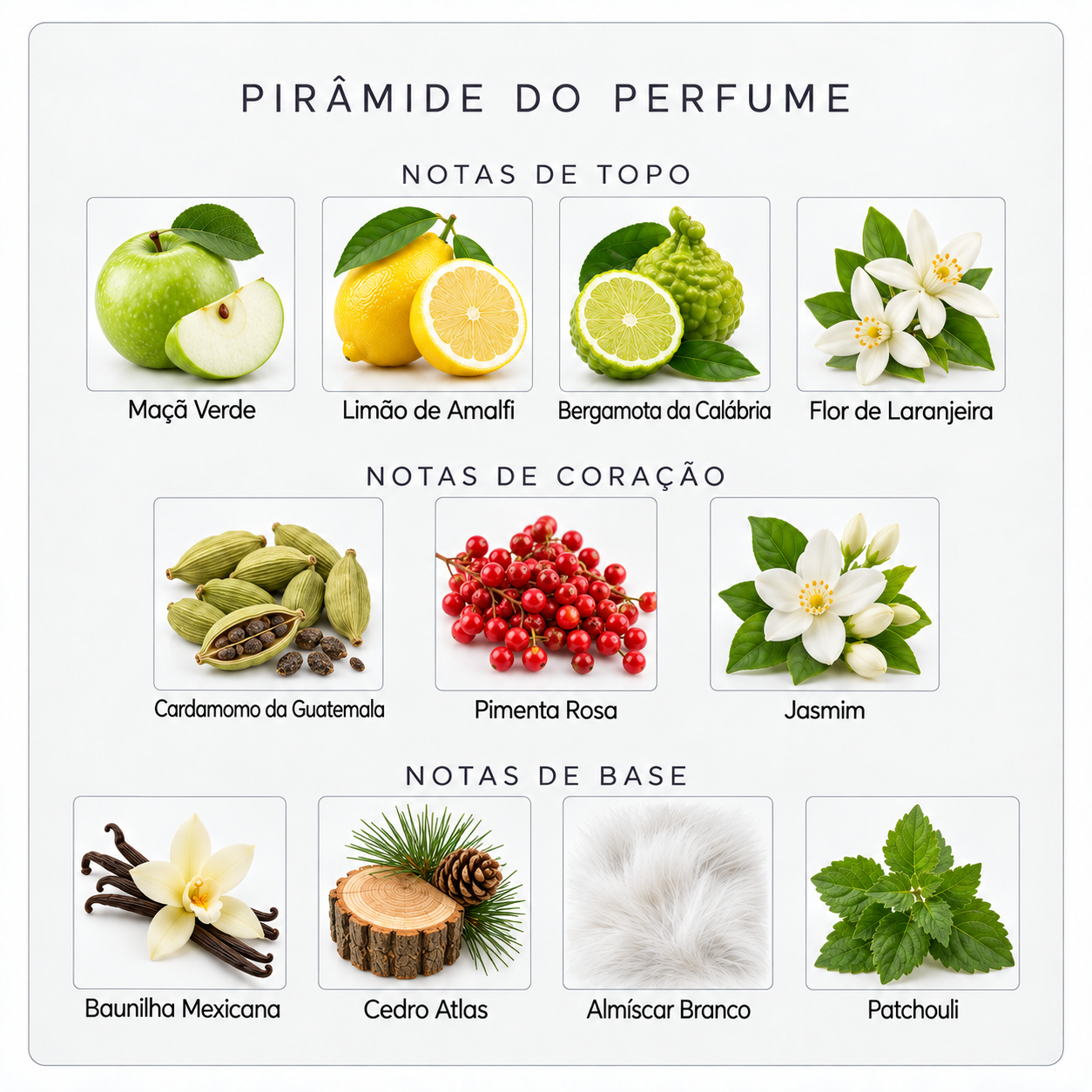 Pirâmide olfativa do Xerjoff Amabile