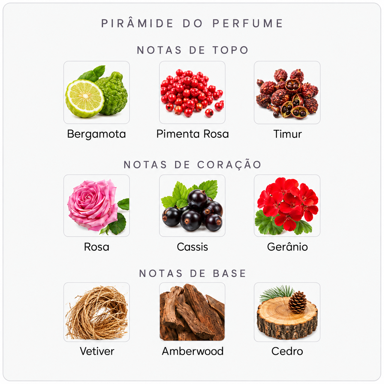 Pirâmide olfativa do Creed Wild Vetiver