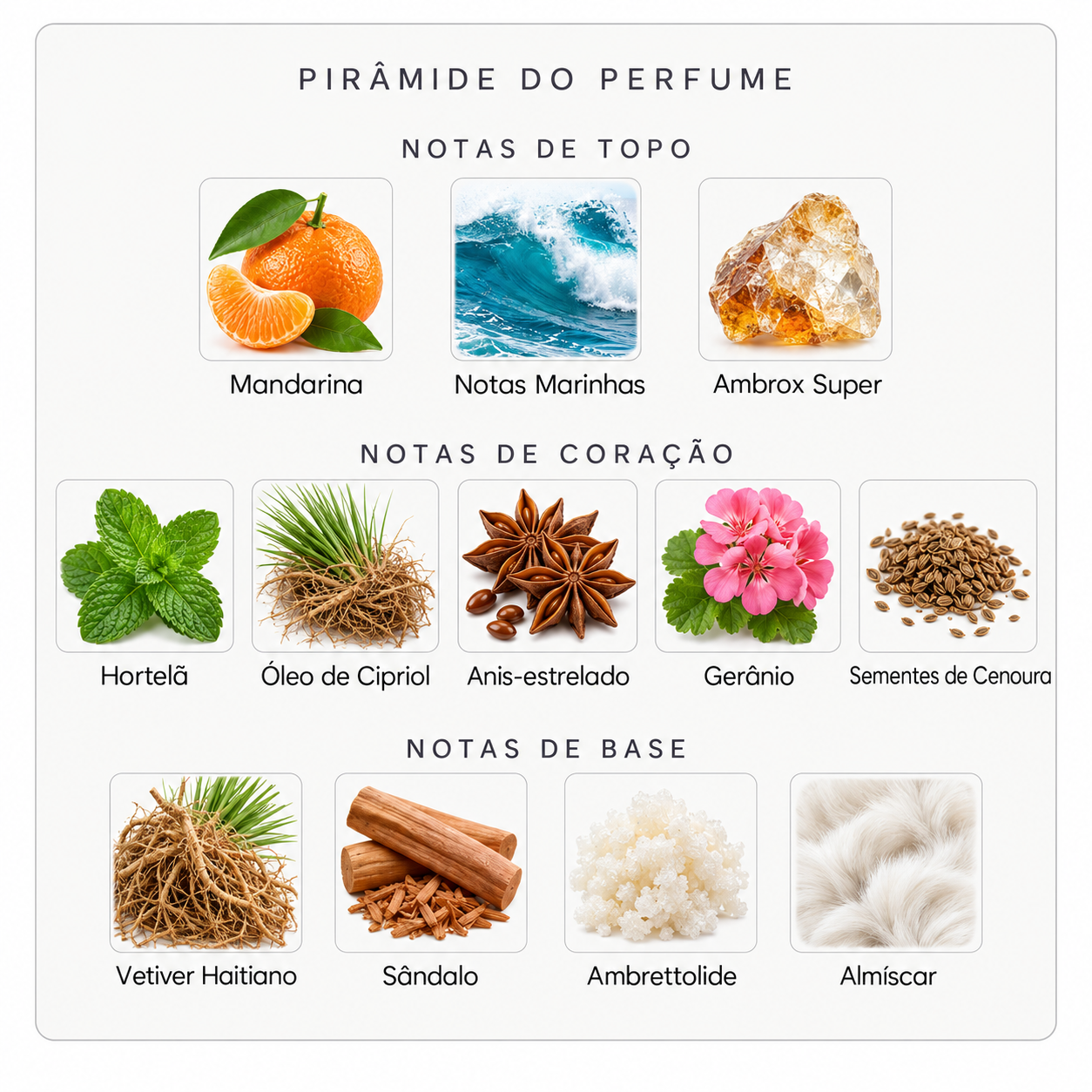 Pirâmide olfativa do Nishane Deziro
