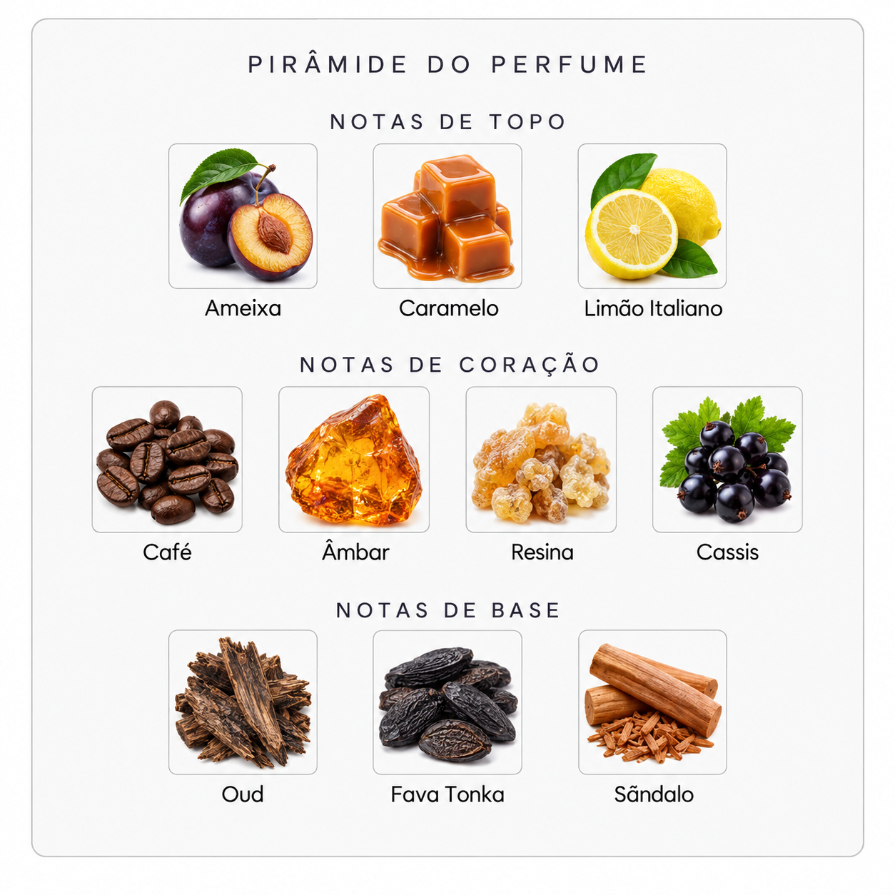Pirâmide olfativa do perfume Mind Games Mentor