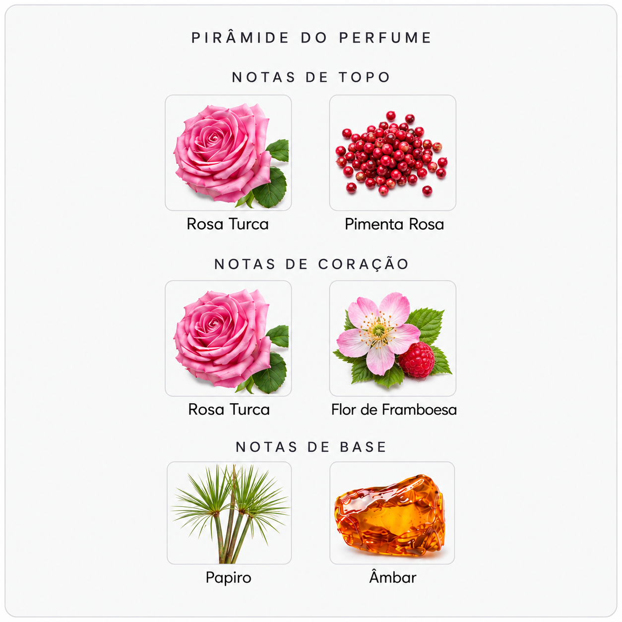 Pirâmide olfativa do Byredo Rose of No Man’s Land