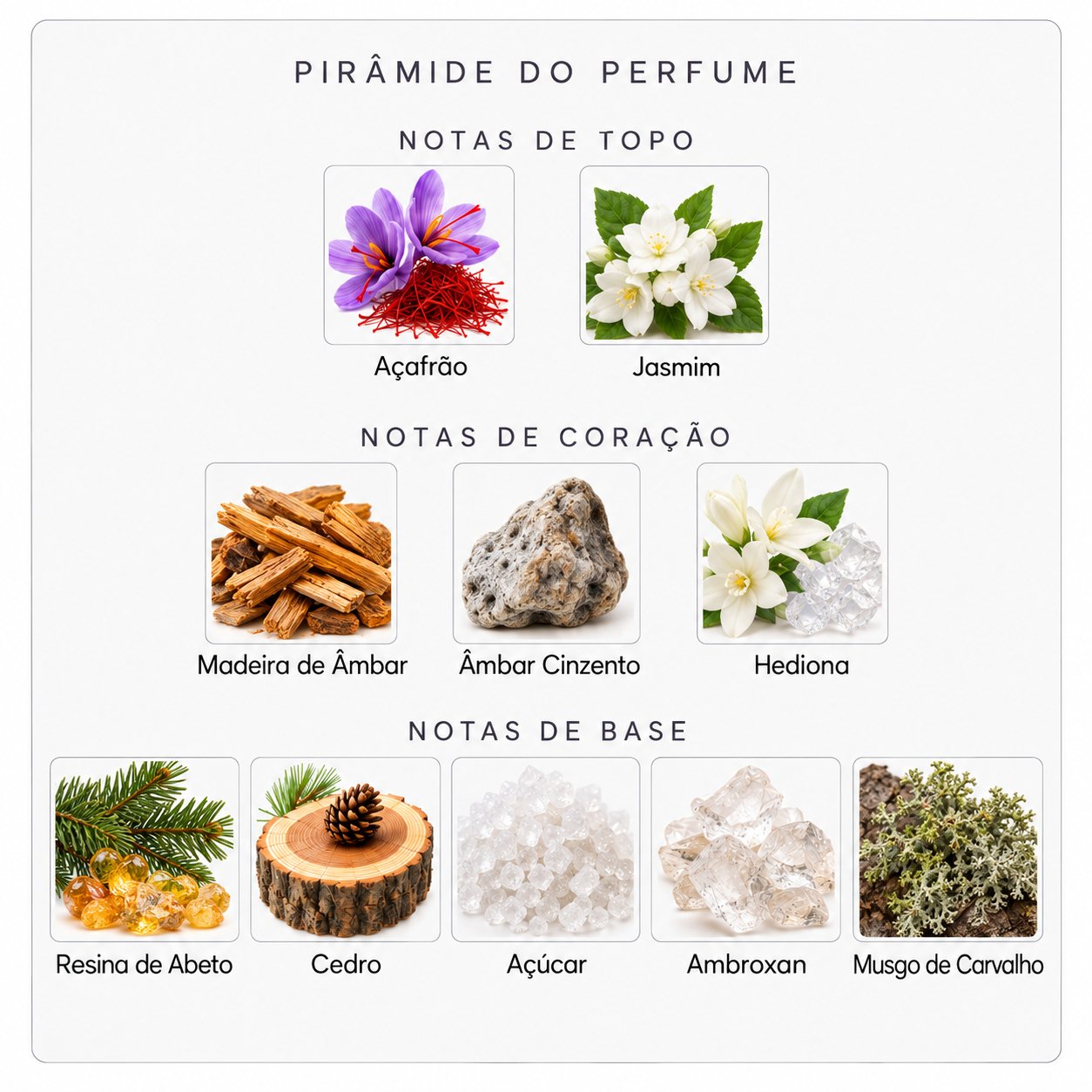 Pirâmide olfativa do Baccarat Rouge 540 EDP