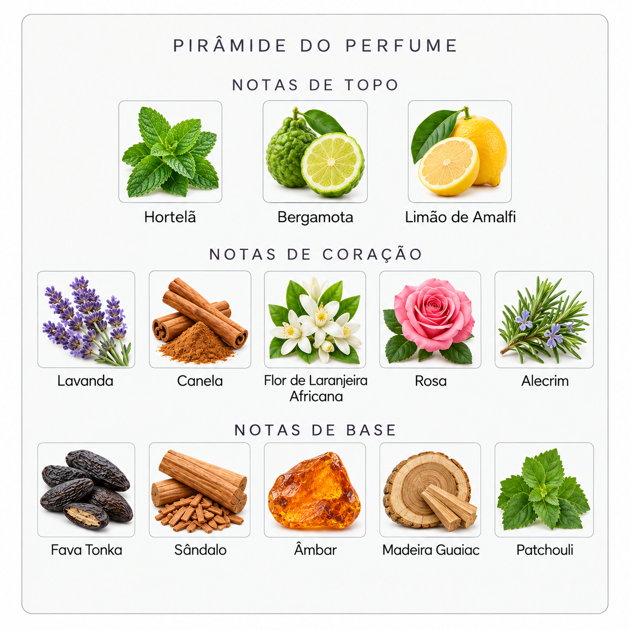 Pirâmide olfativa Parfums de Marly Darley