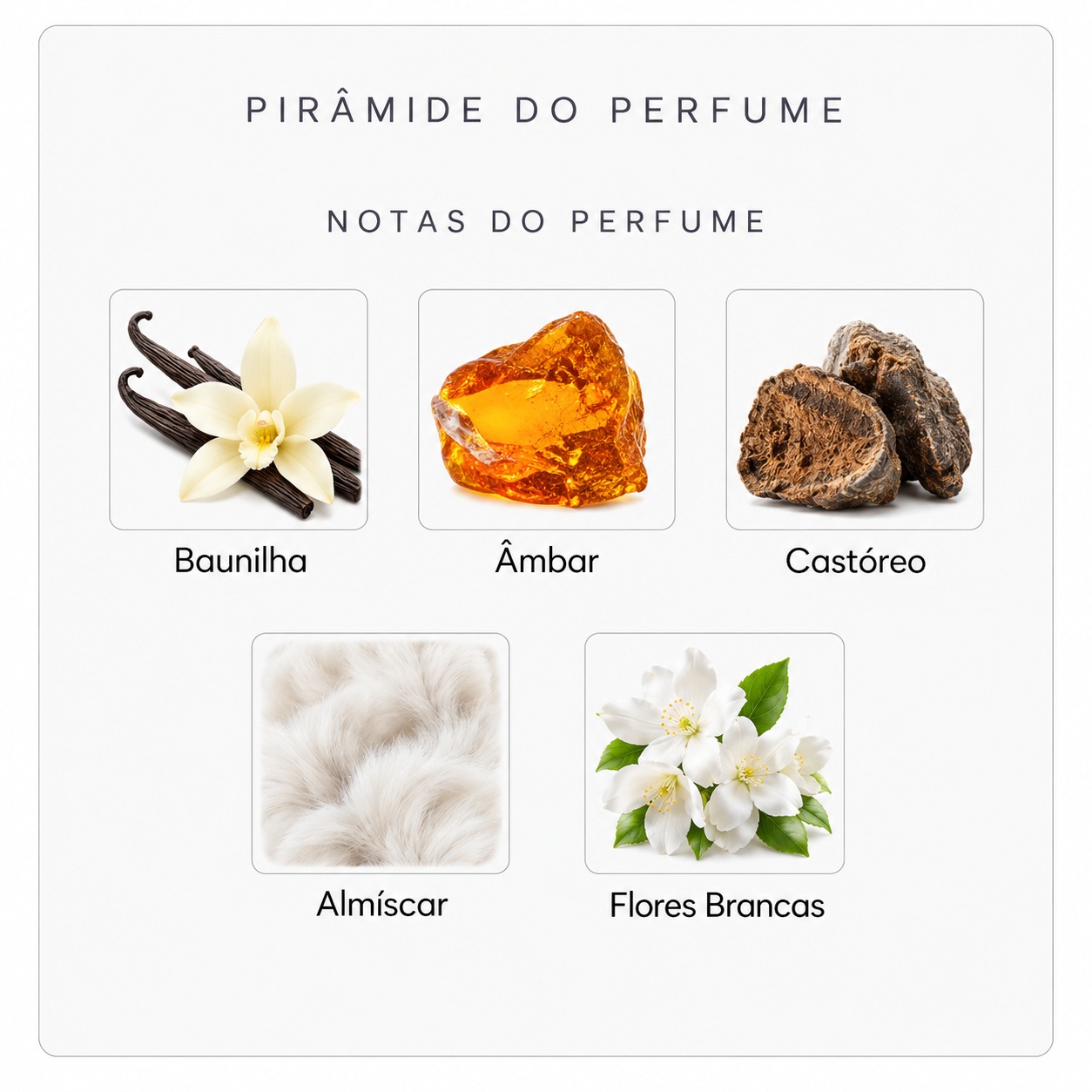 Notas do Initio Absolute Aphrodisiac