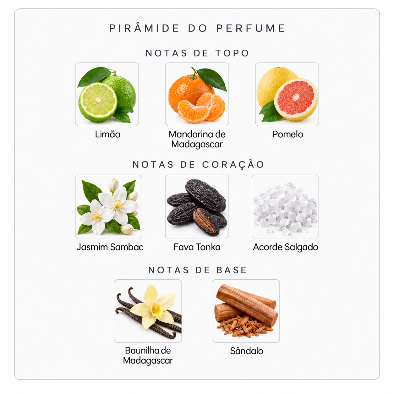 Pirâmide olfativa do perfume Mind Games The Forward