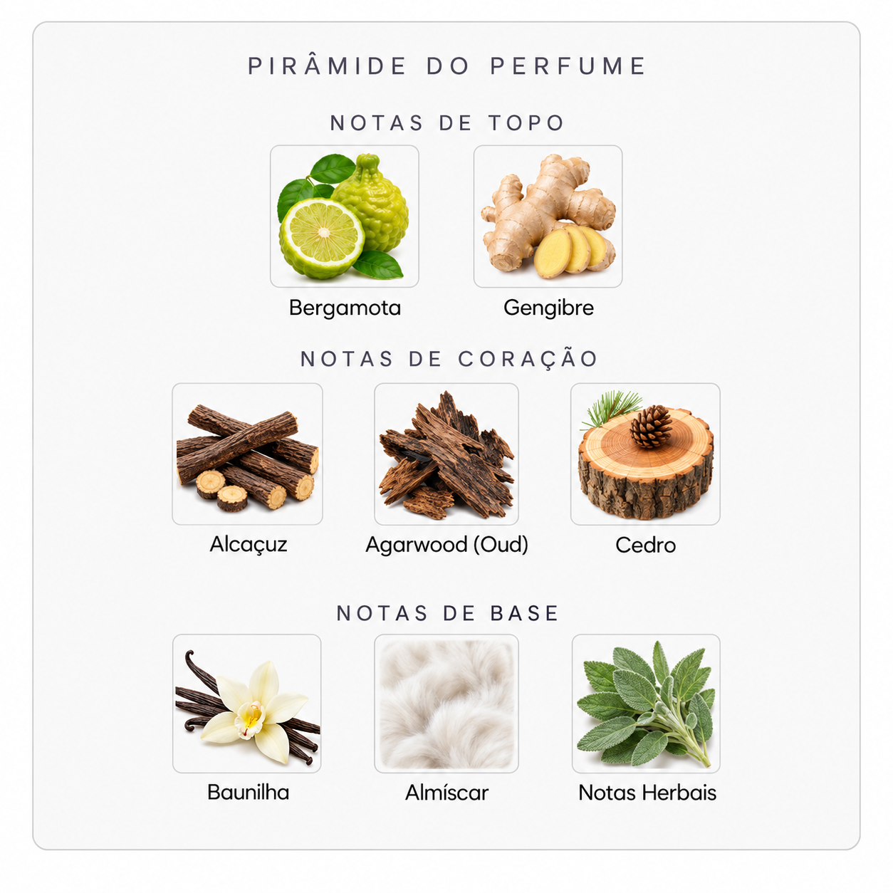 Pirâmide olfativa do Initio Oud for Happiness