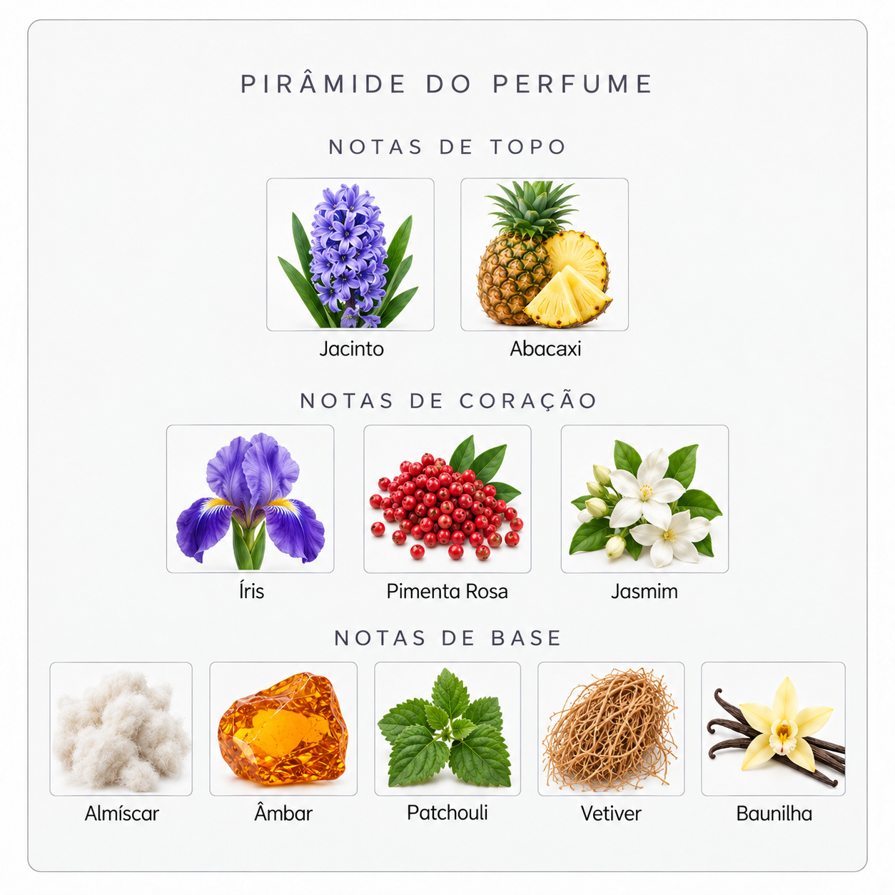 Pirâmide olfativa Sospiro Accento Viola