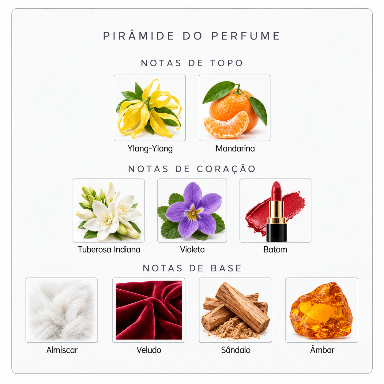 Pirâmide olfativa do Nishane Tuberoza