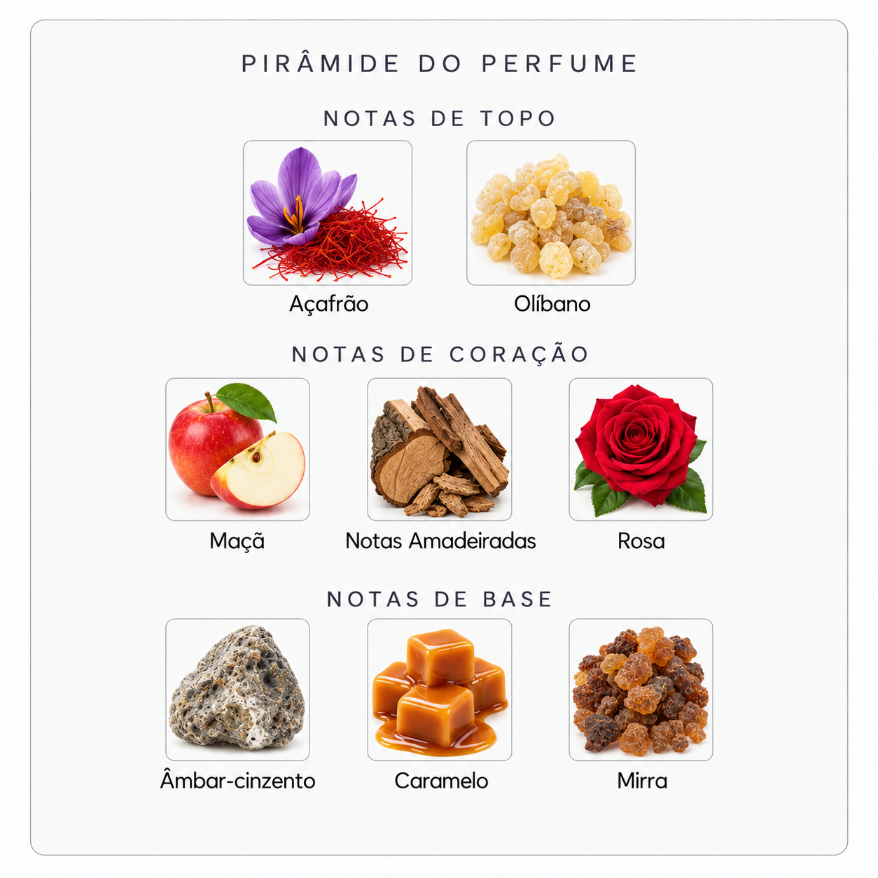 Pirâmide olfativa Parfums de Marly Habdan