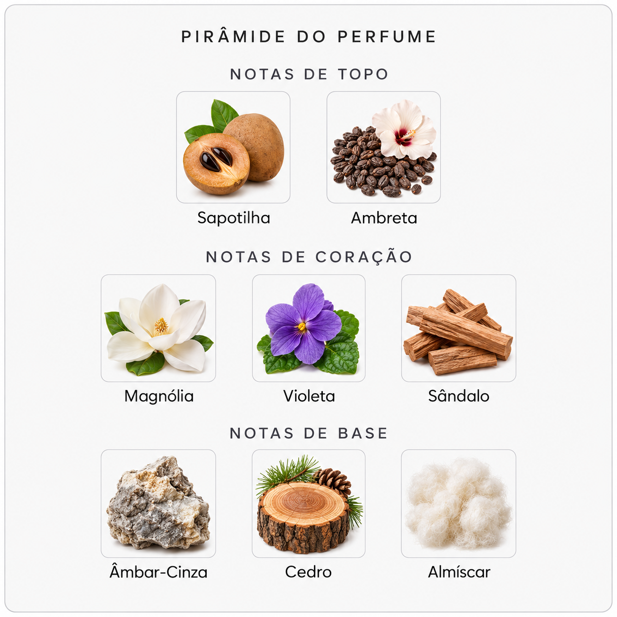 Pirâmide olfativa do Byredo Mojave Ghost