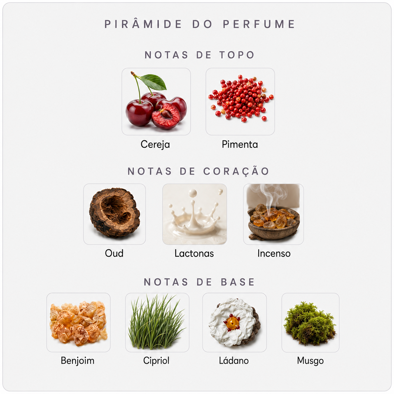 Pirâmide olfativa do Fragrance Du Bois Sirène