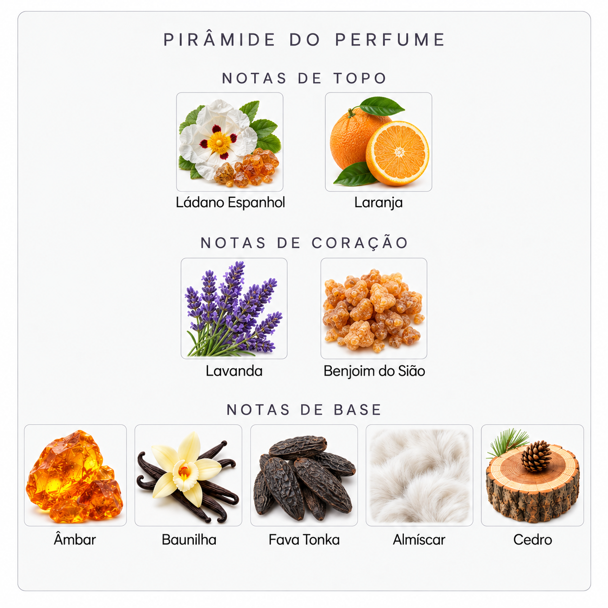 Pirâmide olfativa do Grand Soir