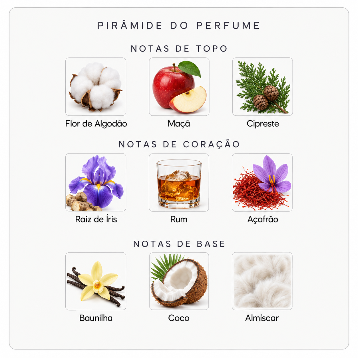 Pirâmide olfativa do perfume Mind Games Queening