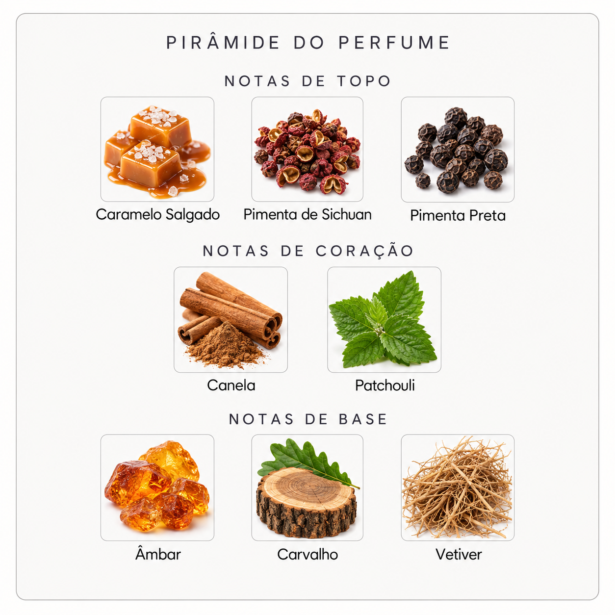 Pirâmide olfativa do Nishane Tero