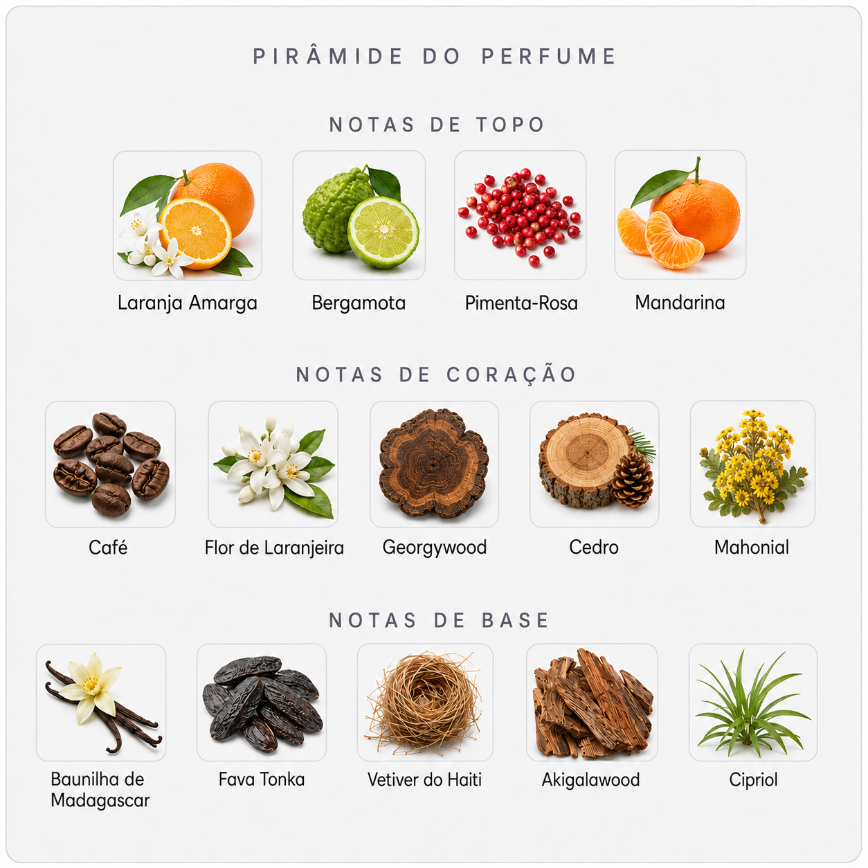 Pirâmide olfativa do Fragrance Du Bois Lucius Maximus