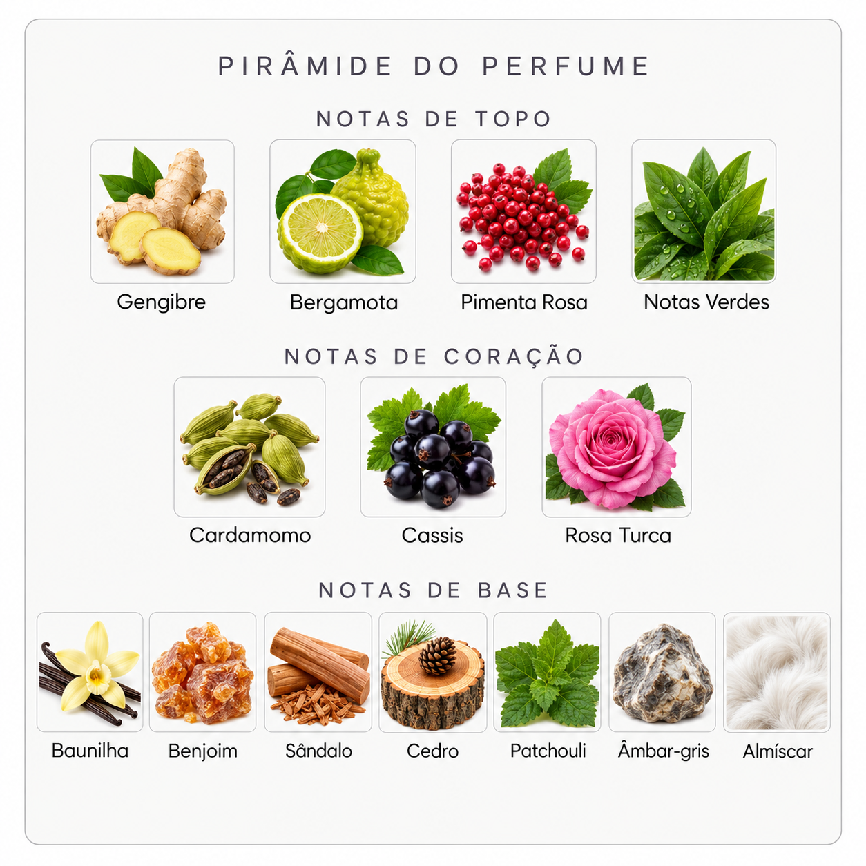 Pirâmide olfativa do Nishane Ani