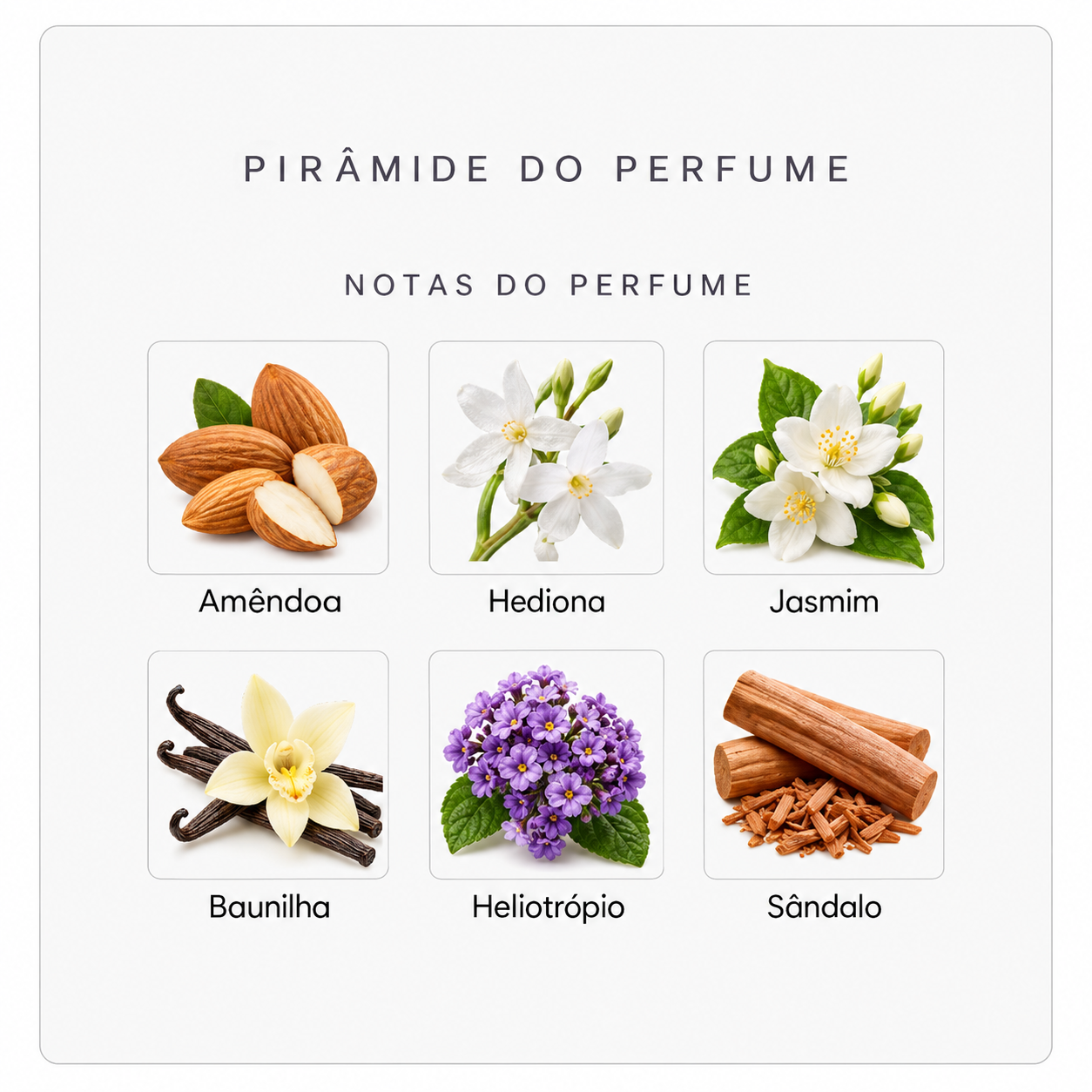 Notas do Initio High Frequency