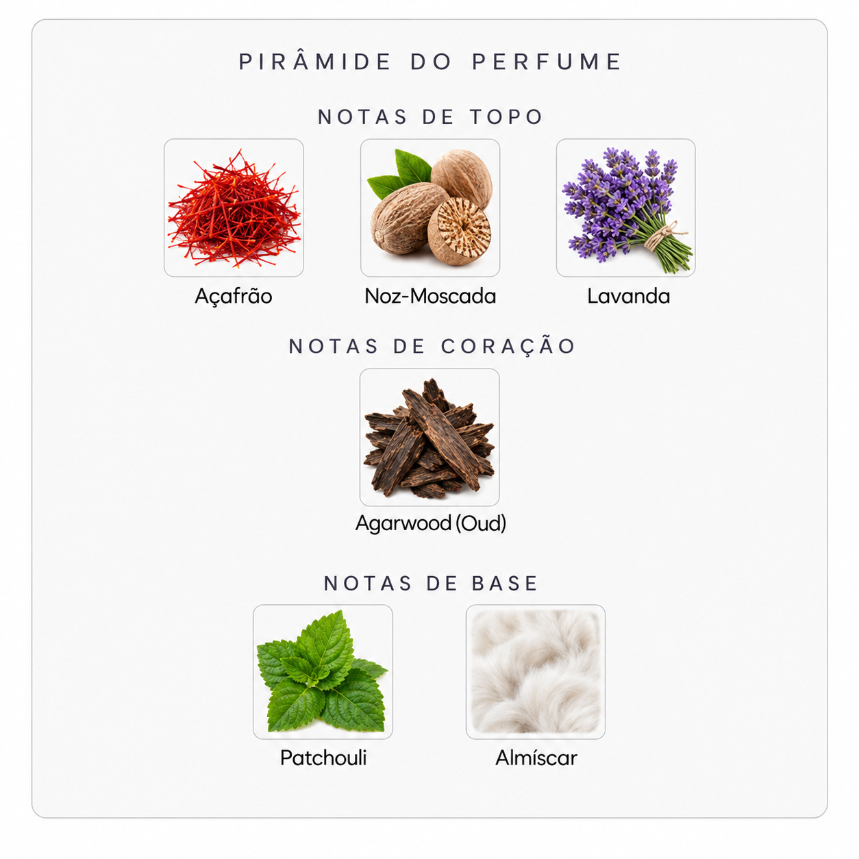Pirâmide olfativa do Initio Oud for Greatness