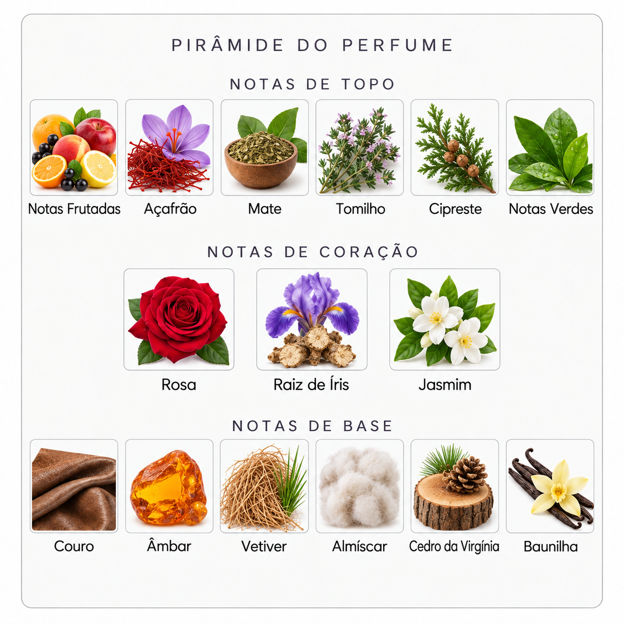 Pirâmide olfativa Parfums de Marly Godolphin