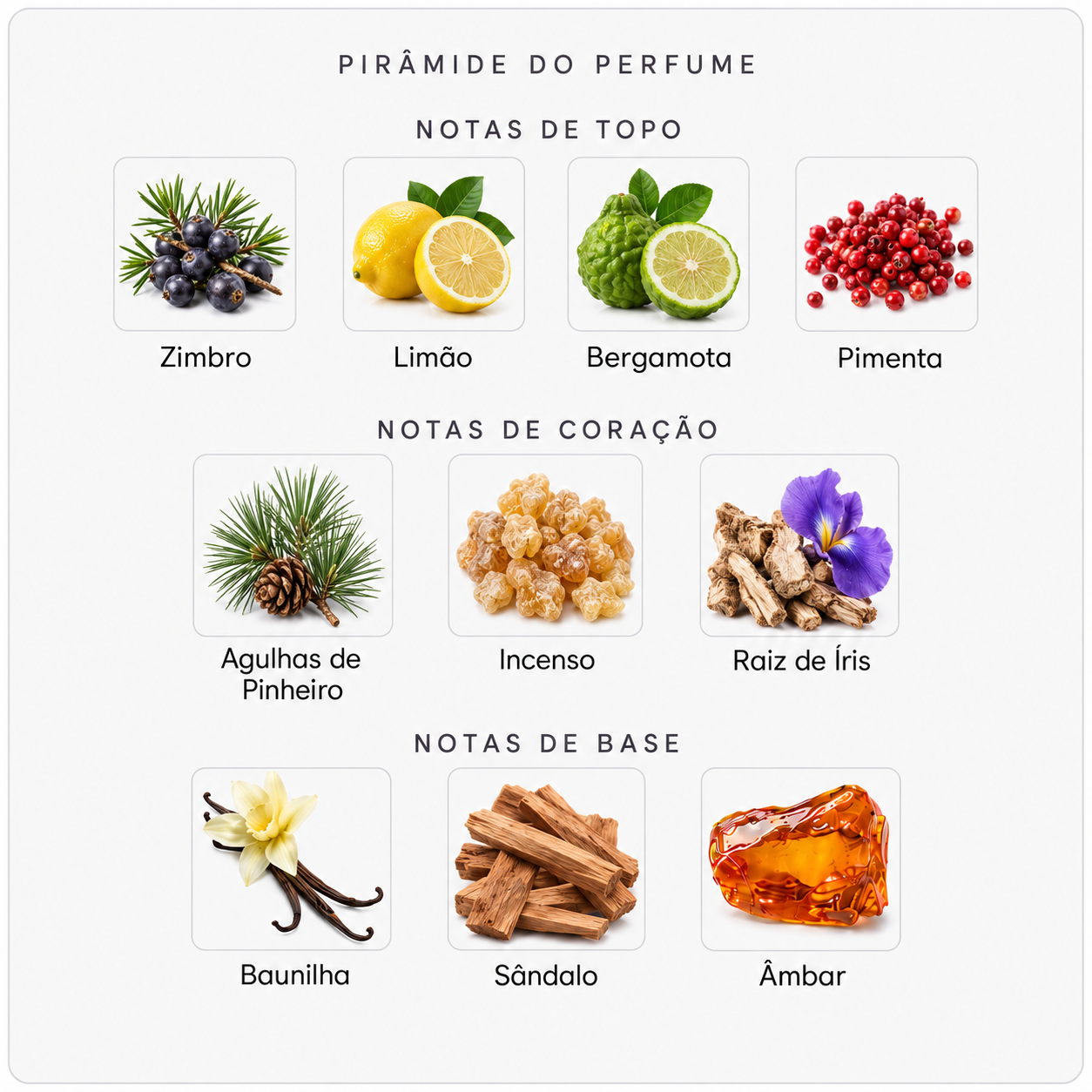 Pirâmide olfativa do Byredo Gypsy Water