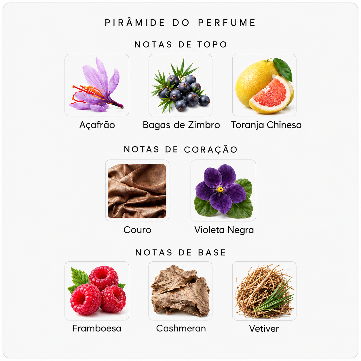 Pirâmide olfativa do Byredo Black Saffron