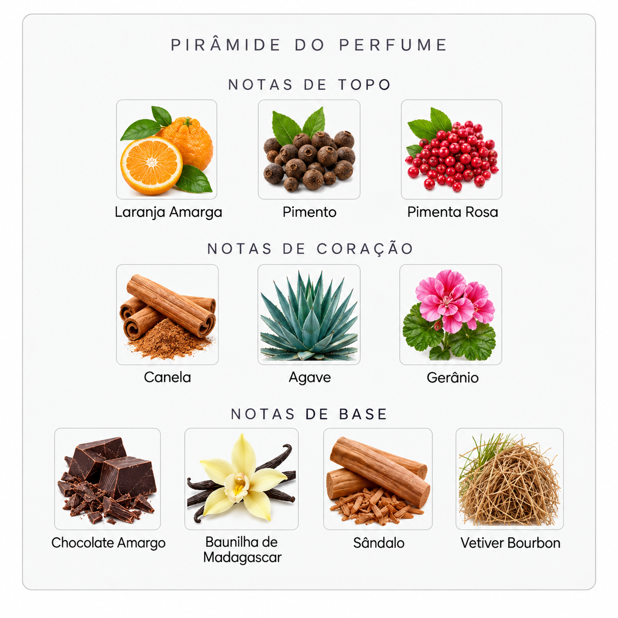 Pirâmide olfativa do perfume Mind Games Double Attack