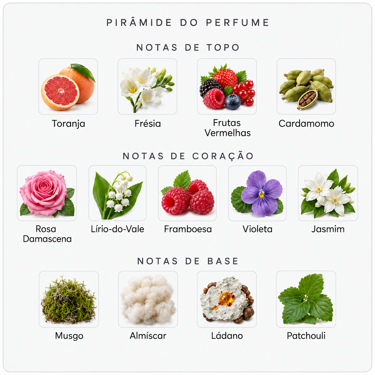 Pirâmide olfativa do Byredo Rose Noir
