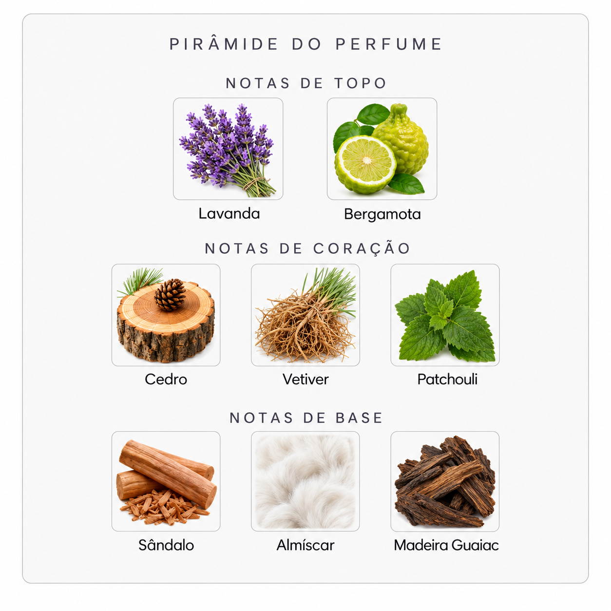 Pirâmide olfativa do Initio Rehab