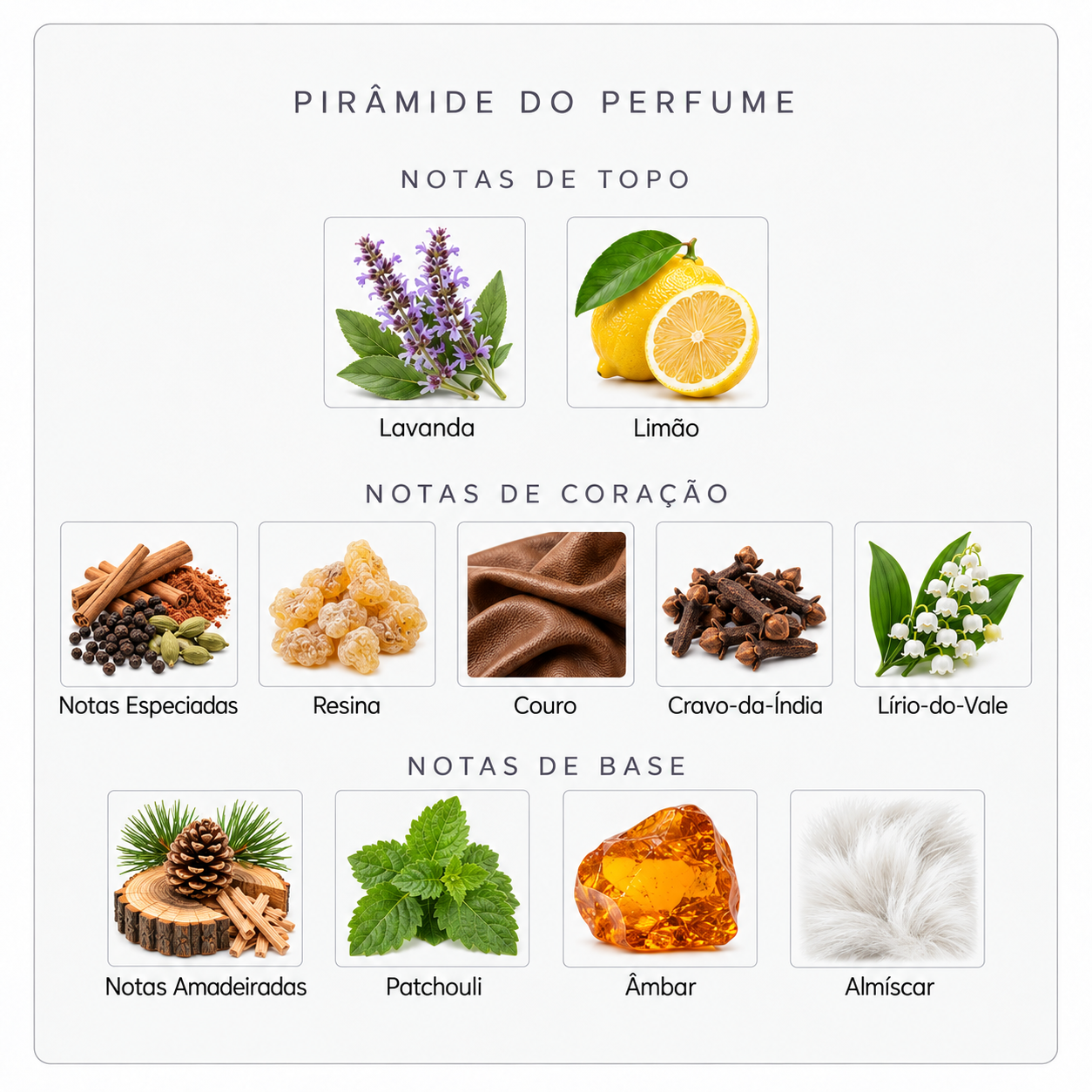 Pirâmide olfativa Sospiro Tenore