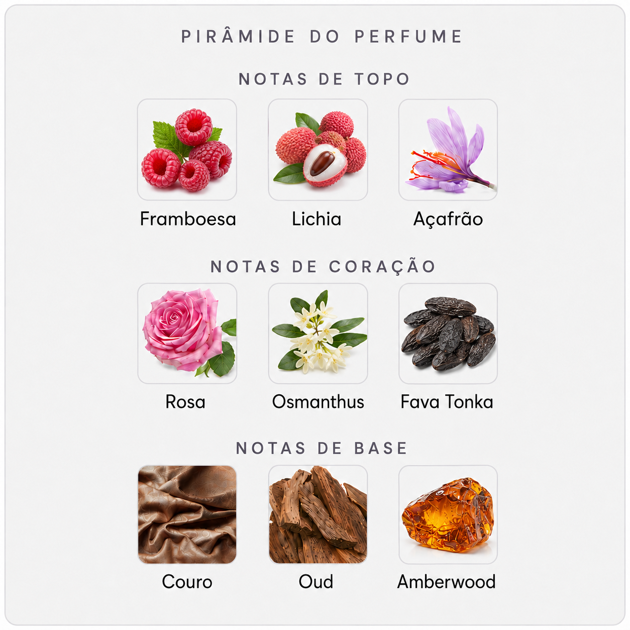 Pirâmide olfativa Amouage Sequence