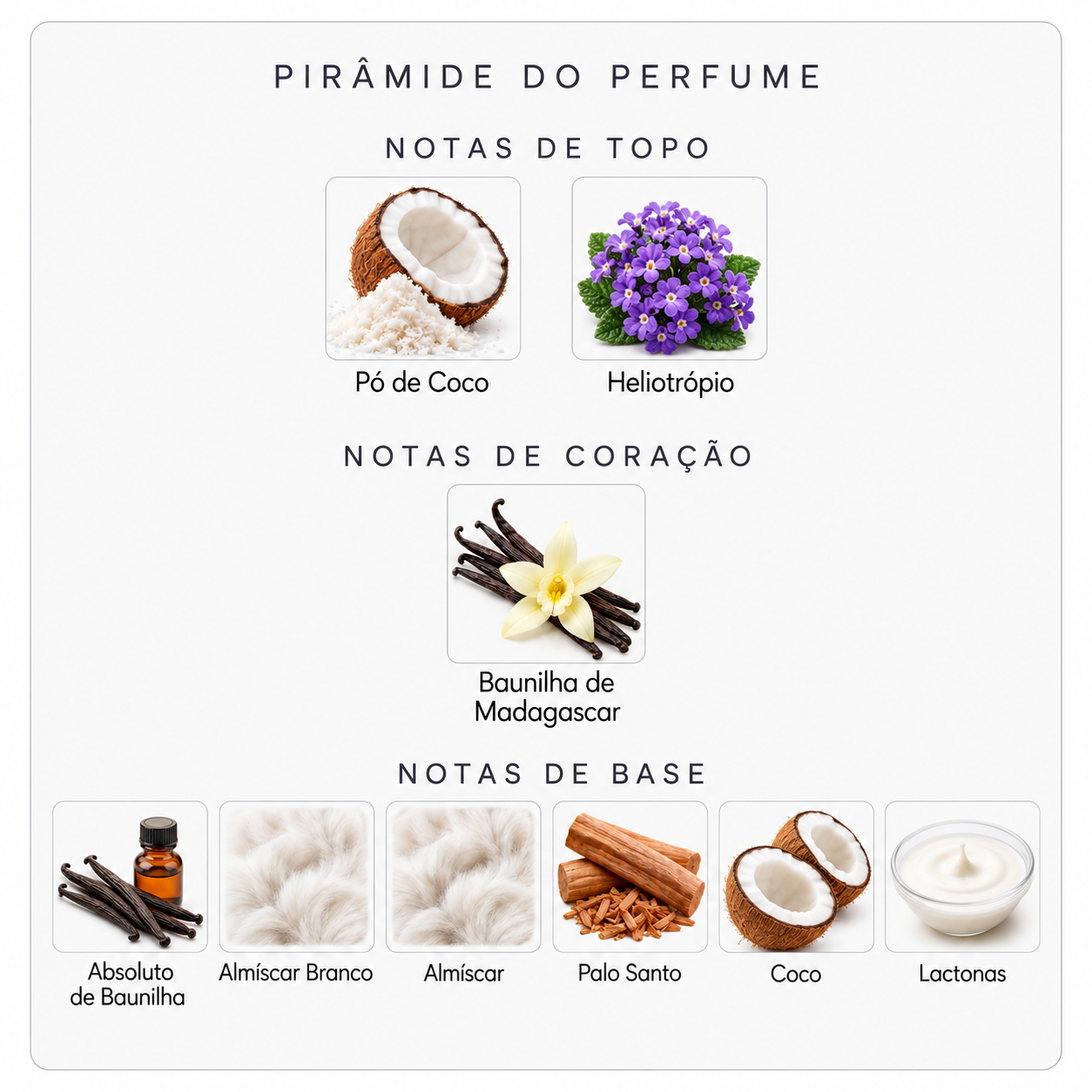 Pirâmide olfativa do Vanilla Powder EDP