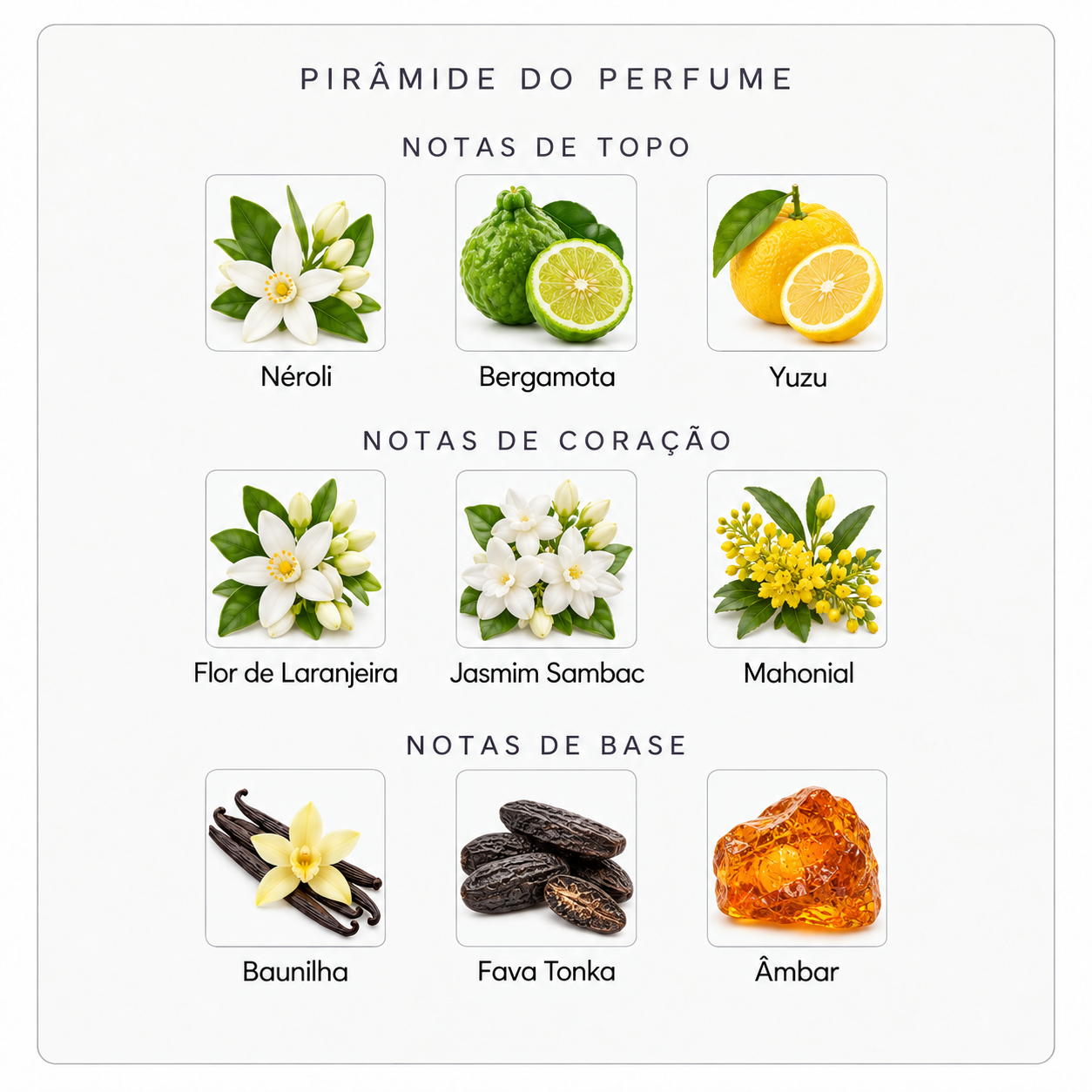 Pirâmide olfativa Parfums de Marly Athénaïs