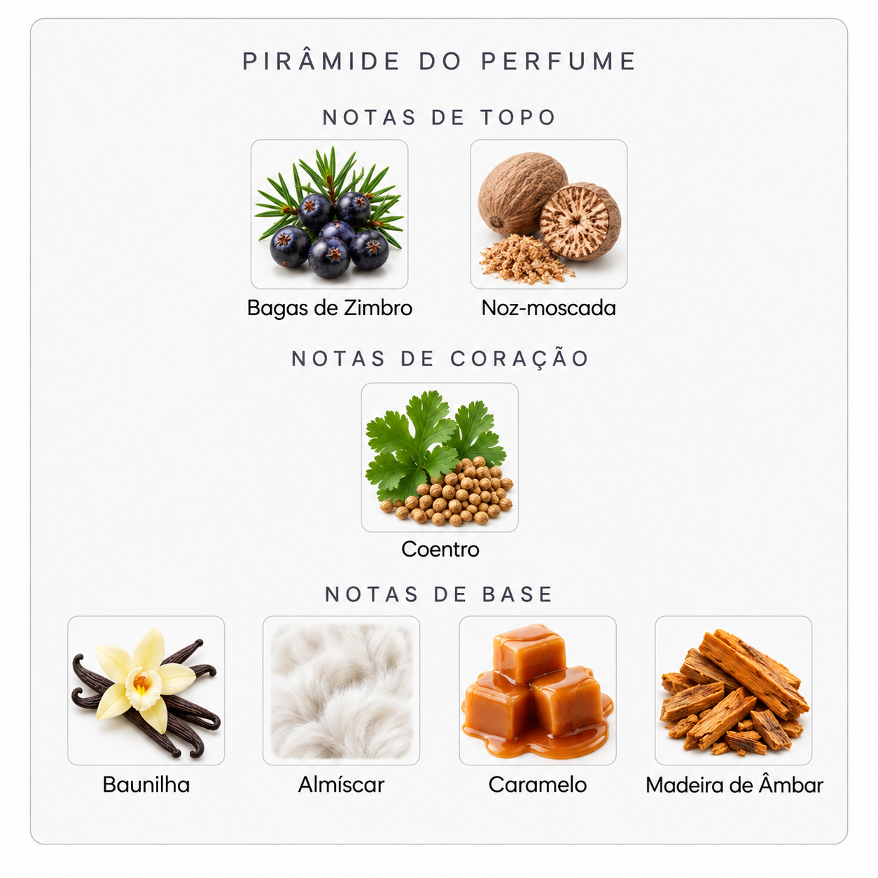 Pirâmide olfativa do Gentle Fluidity Gold